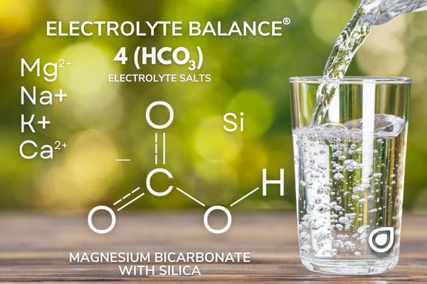 Magnesium Bicarbonate